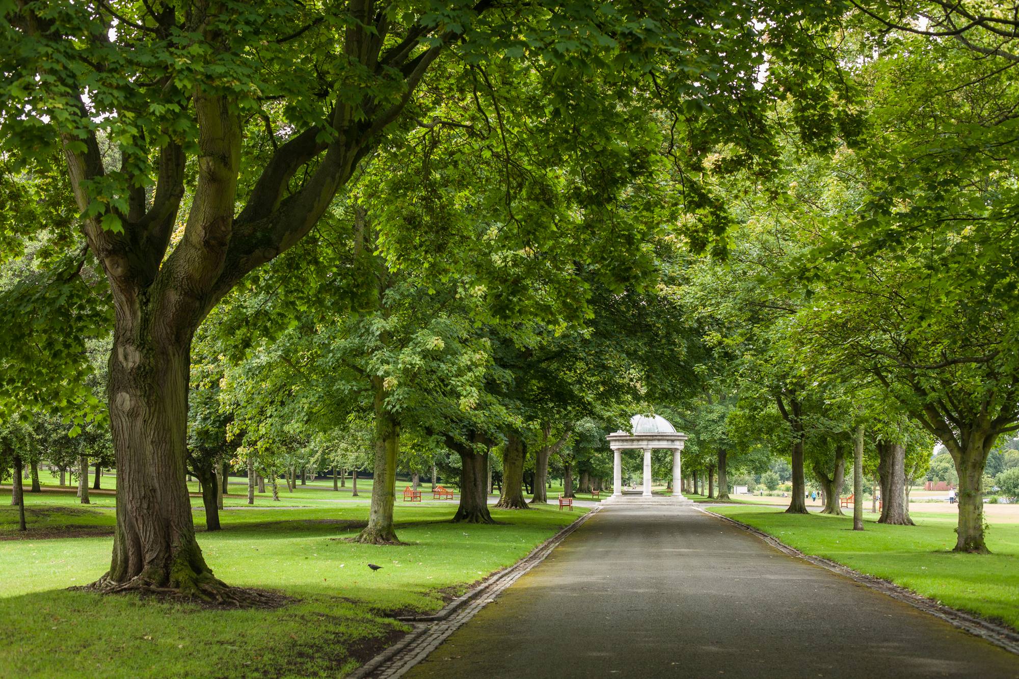 Avenue of trees leading to the temple in the Irish National War Memorial Gardens. Julie Matkin. 